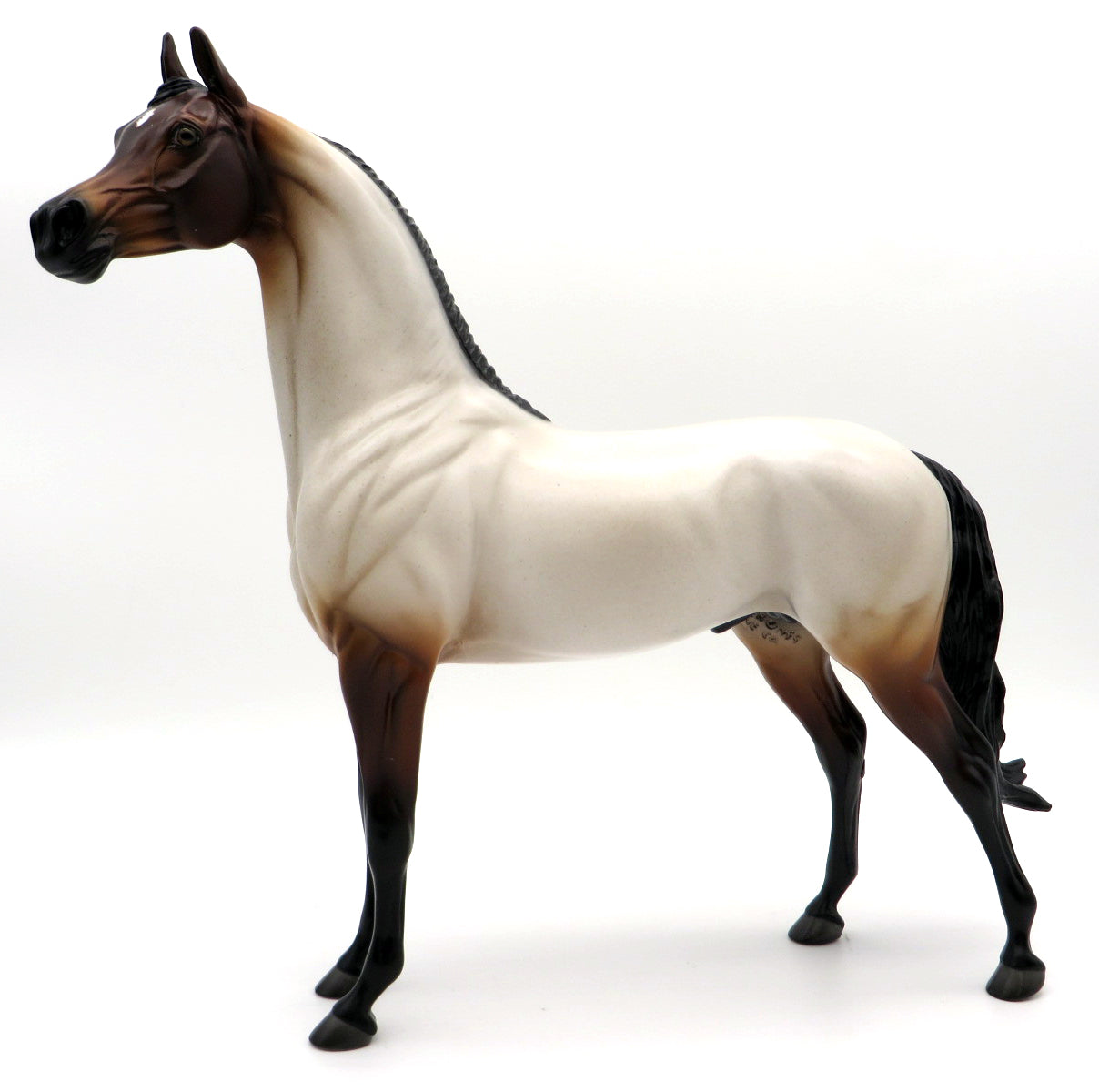 Davao-OOAK Bay Roan Arabian painted by Kayla  12/2/21