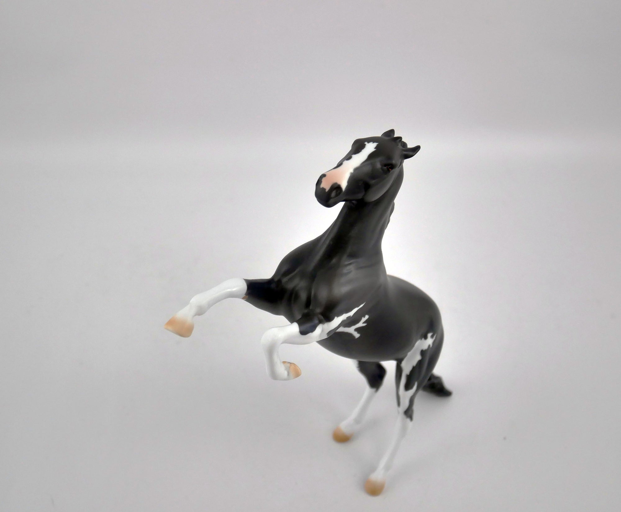 DAVEY GREY-OOAK REARING PEBBLES BY DAWN QUICK