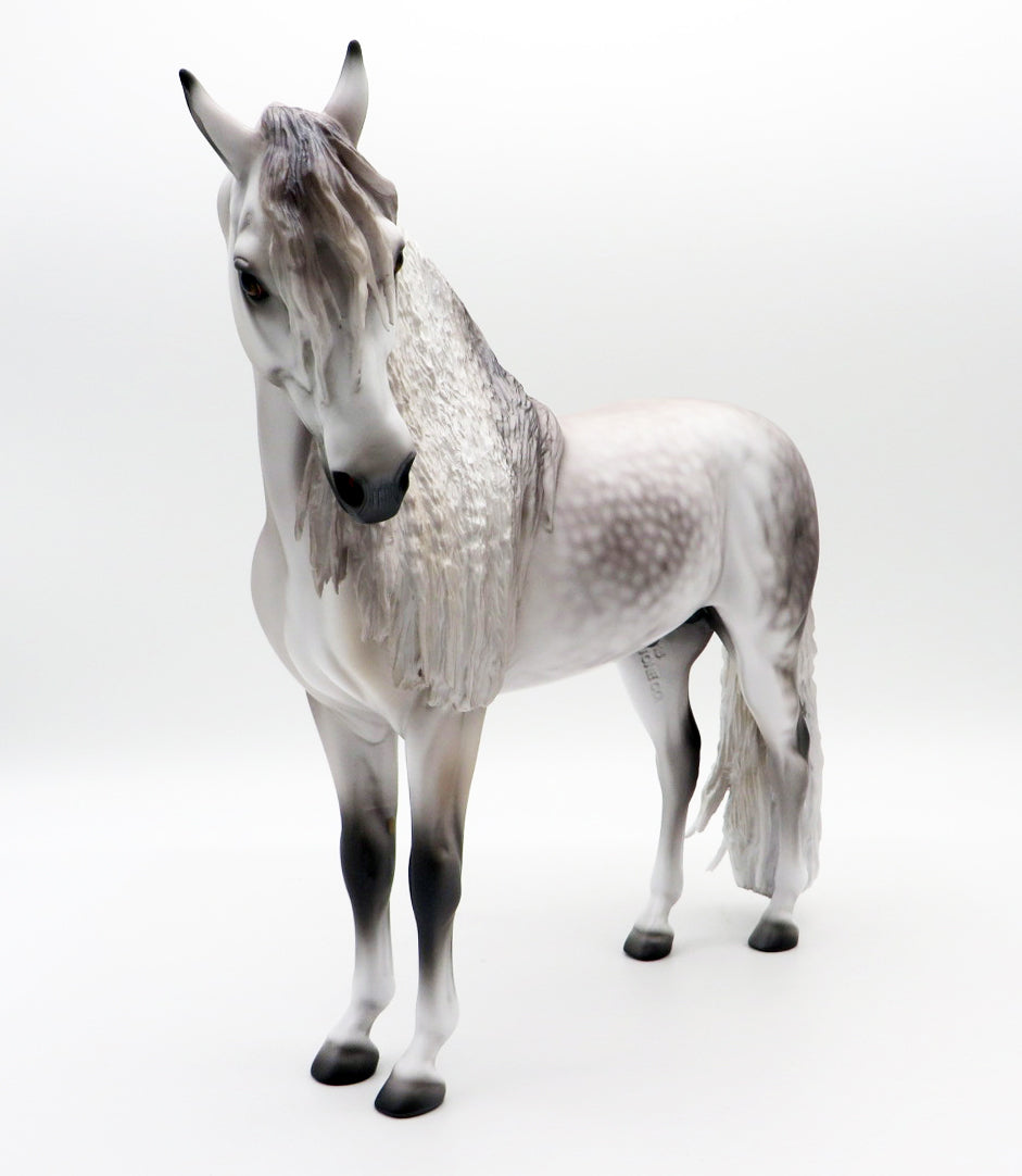 Delano-OOAK Dapple Grey Andalusian by Caroline Boydston 10/11/21