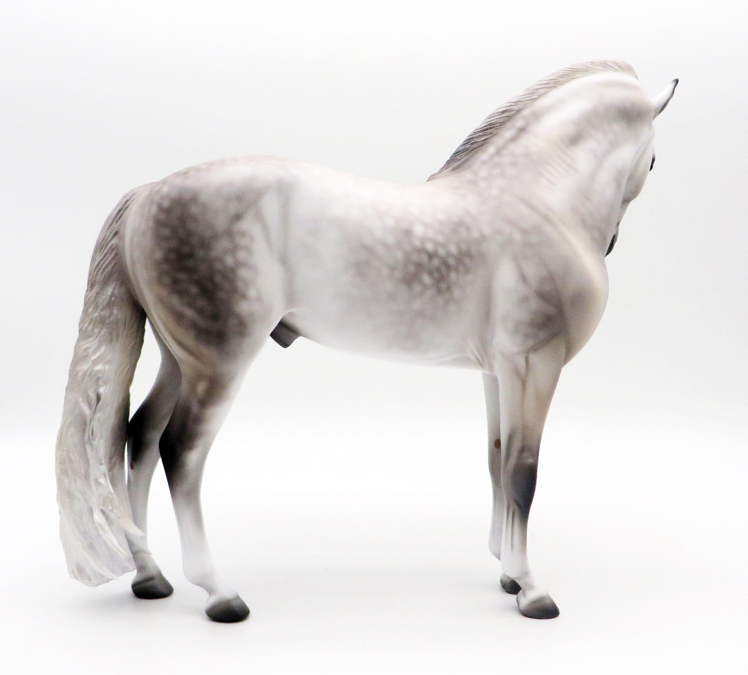 Delano-OOAK Dapple Grey Andalusian by Caroline Boydston 10/11/21