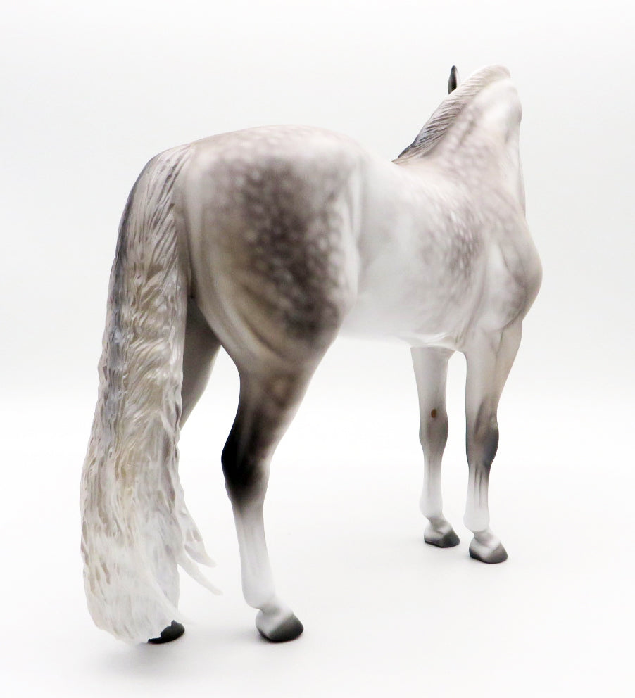 Delano-OOAK Dapple Grey Andalusian by Caroline Boydston 10/11/21