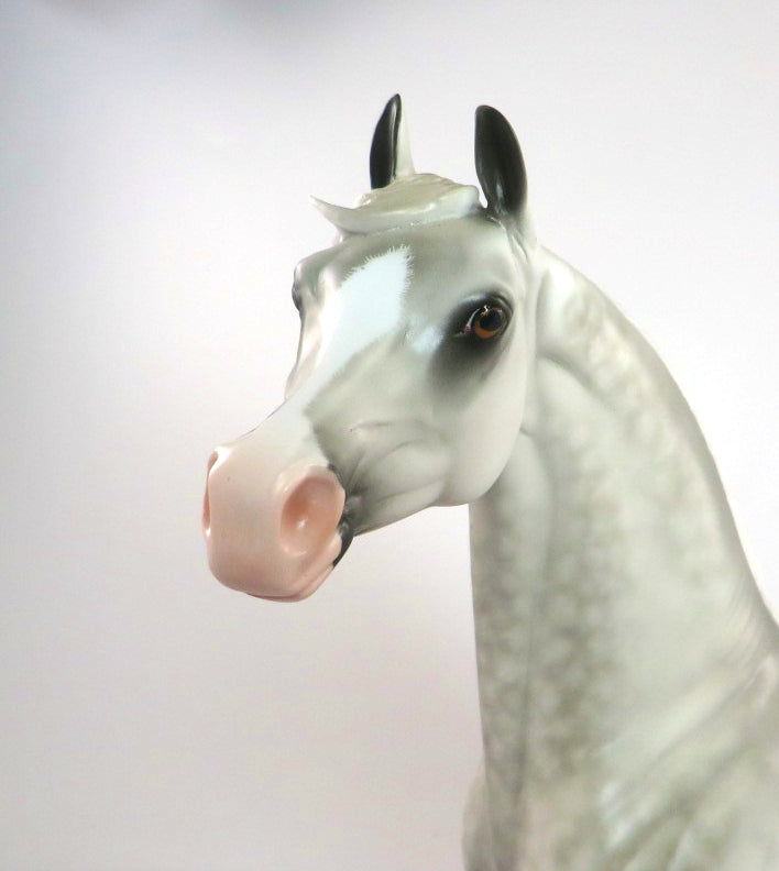 DET BINNER-OOAK DAPPLE GREY ARABIAN MODEL HORSE BY SHERYL LEISURE 2/27/20