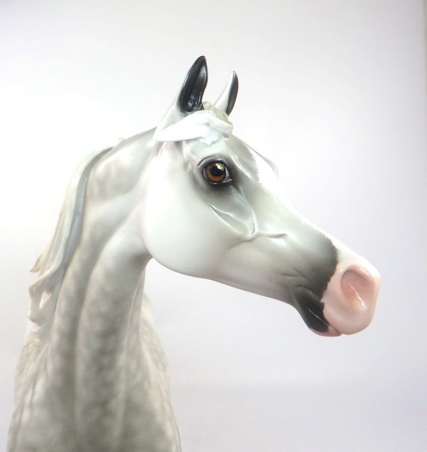 DET BINNER-OOAK DAPPLE GREY ARABIAN MODEL HORSE BY SHERYL LEISURE 2/27/20