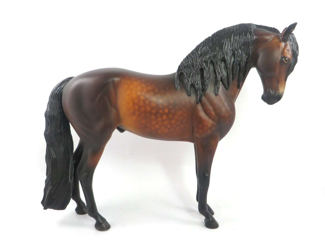 andalusian