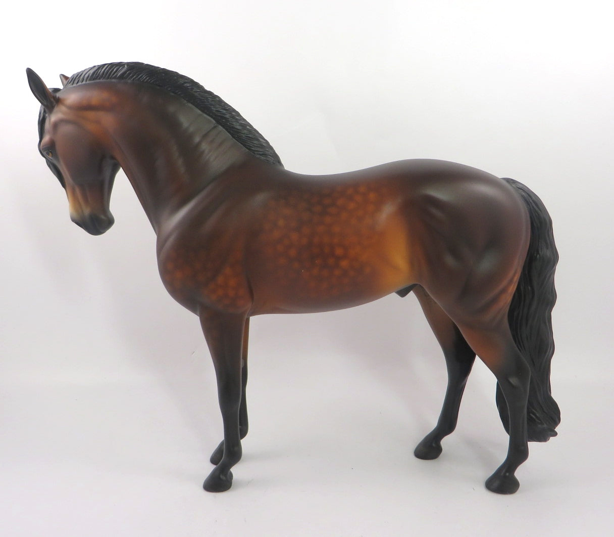 DEVINE-OOAK STAR DAPPLE ANDALUSIAN BY SHERYL LEISURE 12/27/19