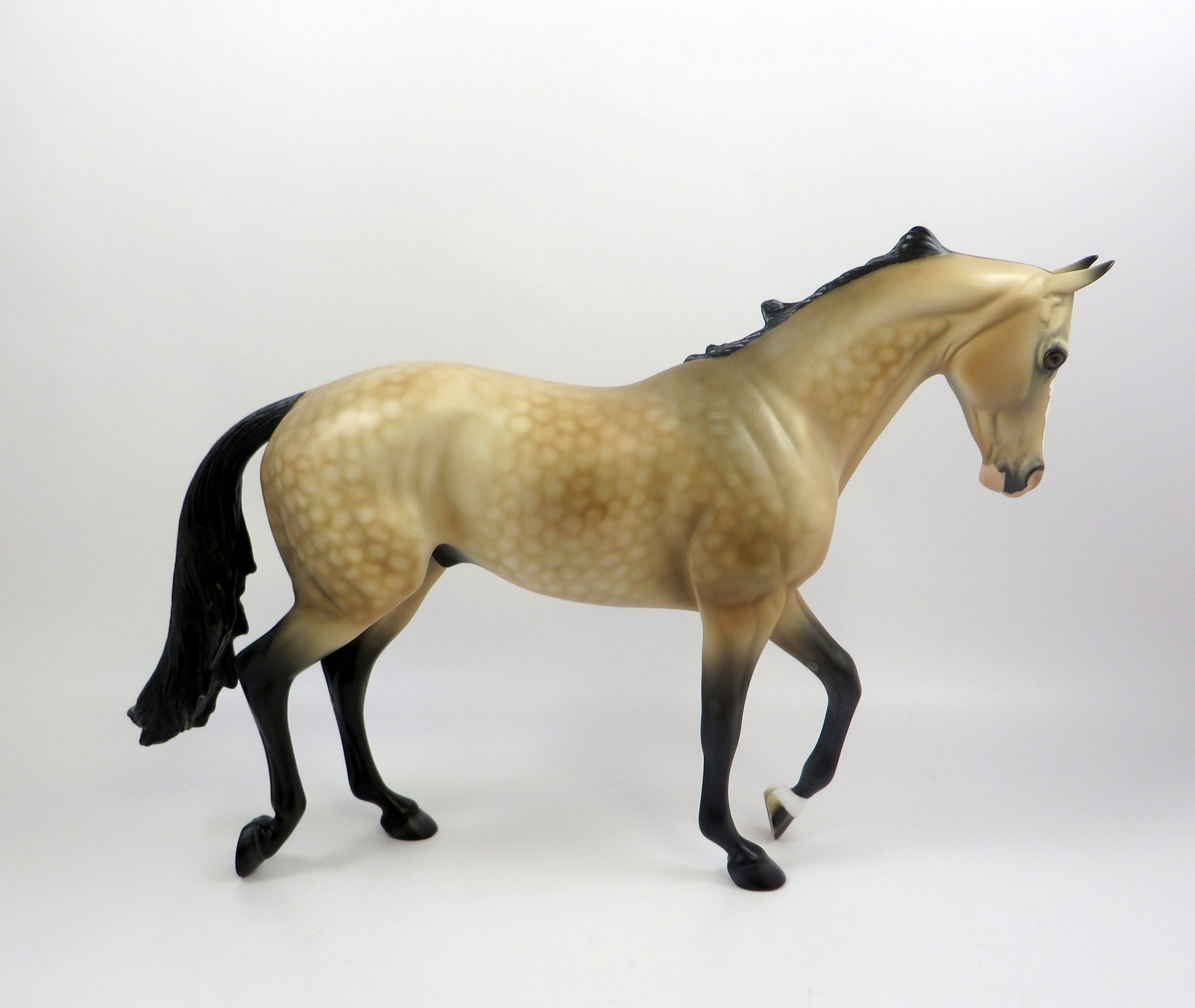 DEWSPINNER-OOAK DAPPLE BUCKSKIN THOROUGHBRED MODEL HORSE EQ 19