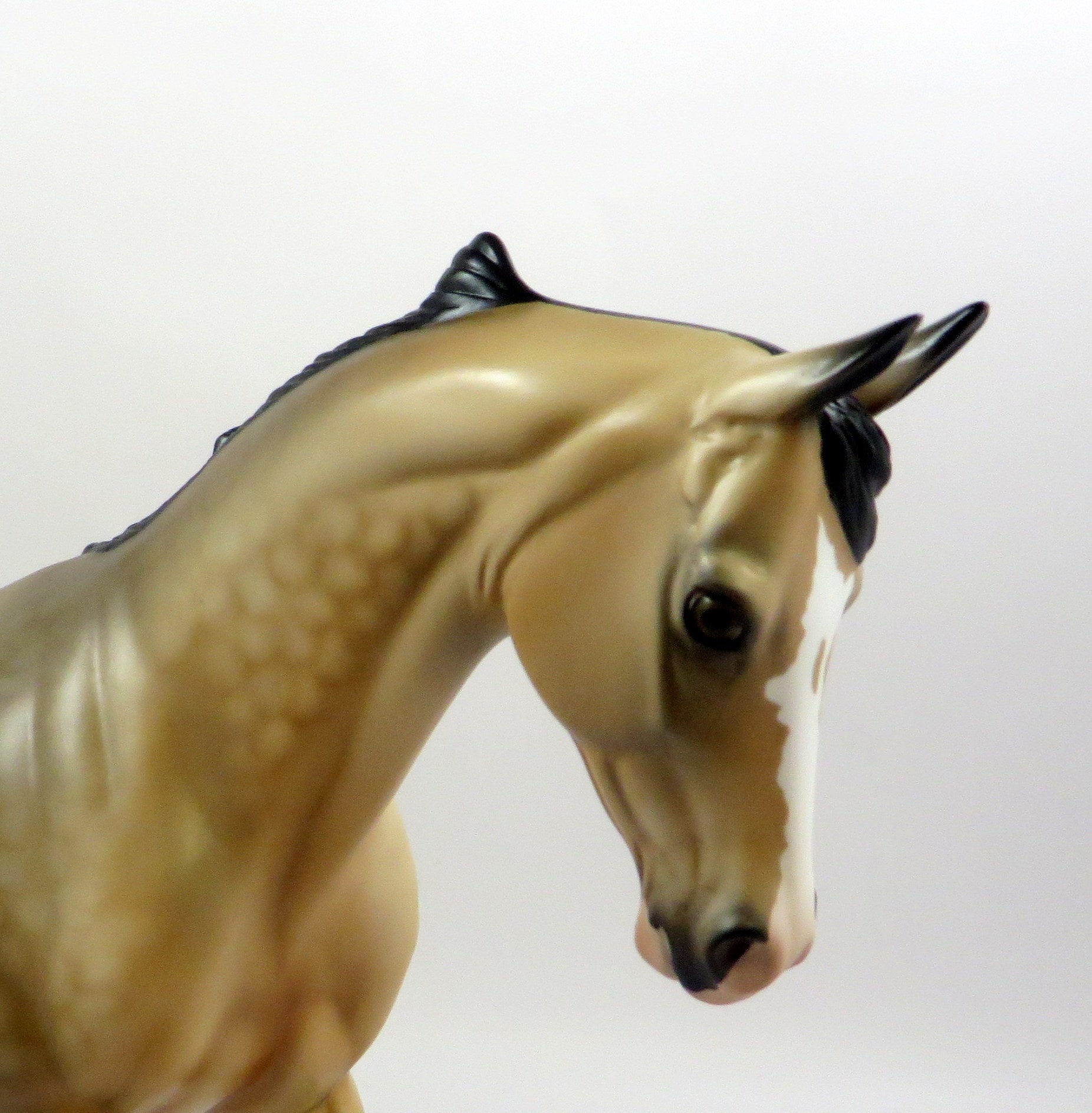 DEWSPINNER-OOAK DAPPLE BUCKSKIN THOROUGHBRED MODEL HORSE EQ 19