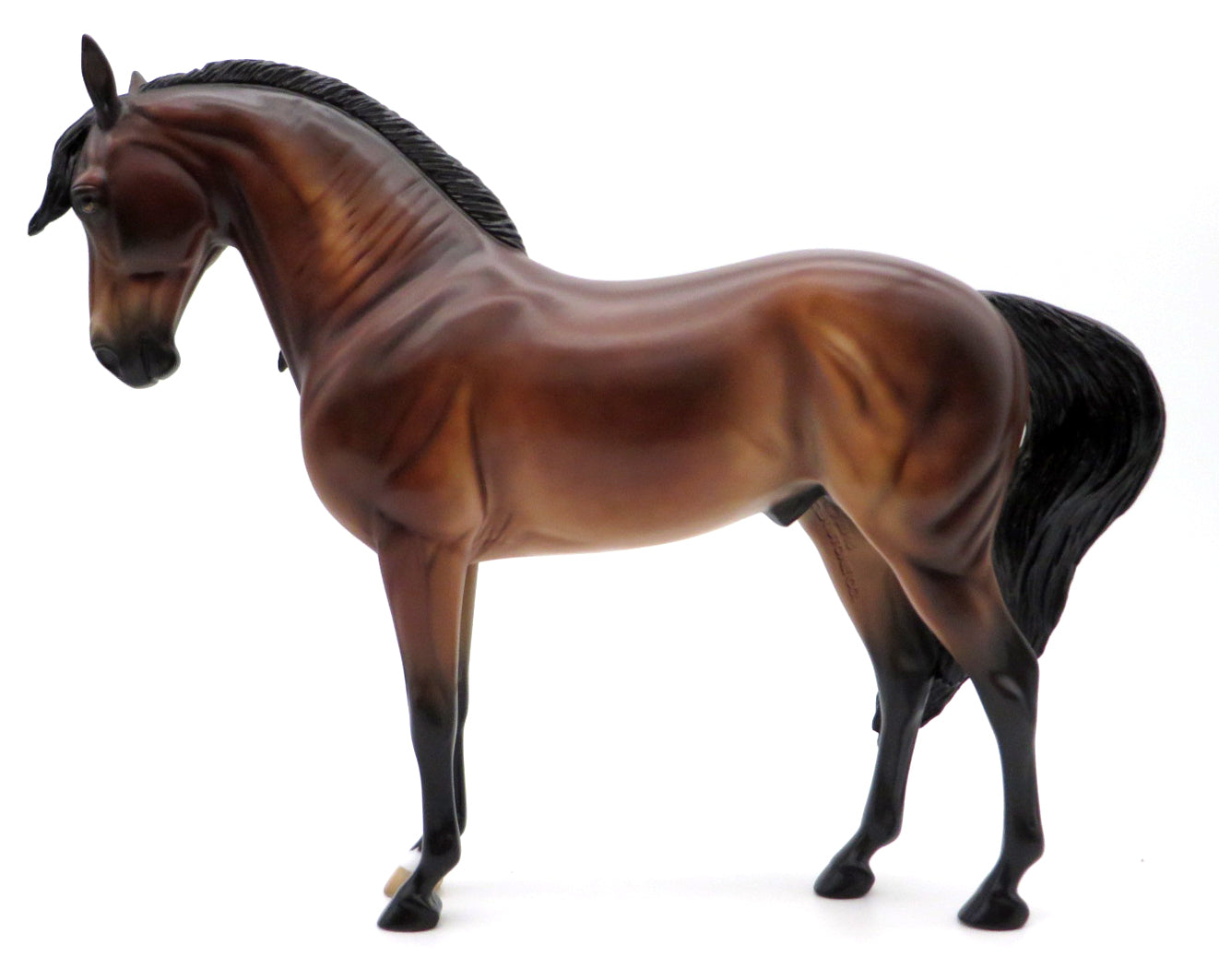 Dexter - OOAK Dapple Bay Andalusian by Kayla - MM 2021