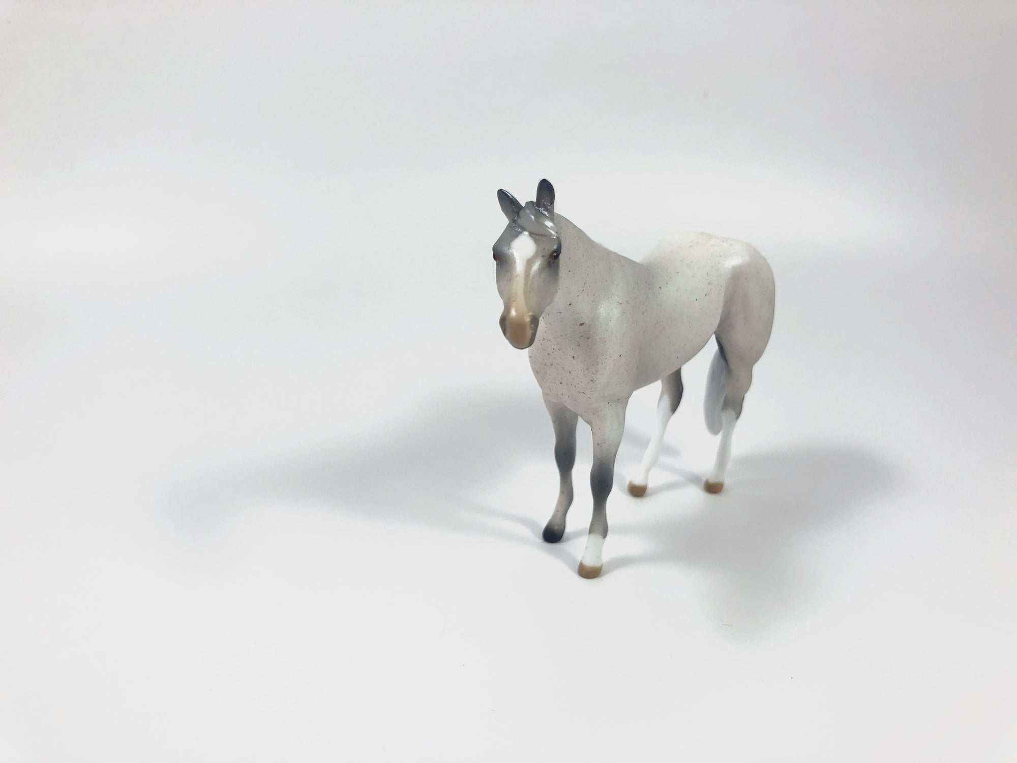 FLOWER OF SCOTLAND-OOAK FLEABIT GREY STOCK HORSE CHIP SHCF19