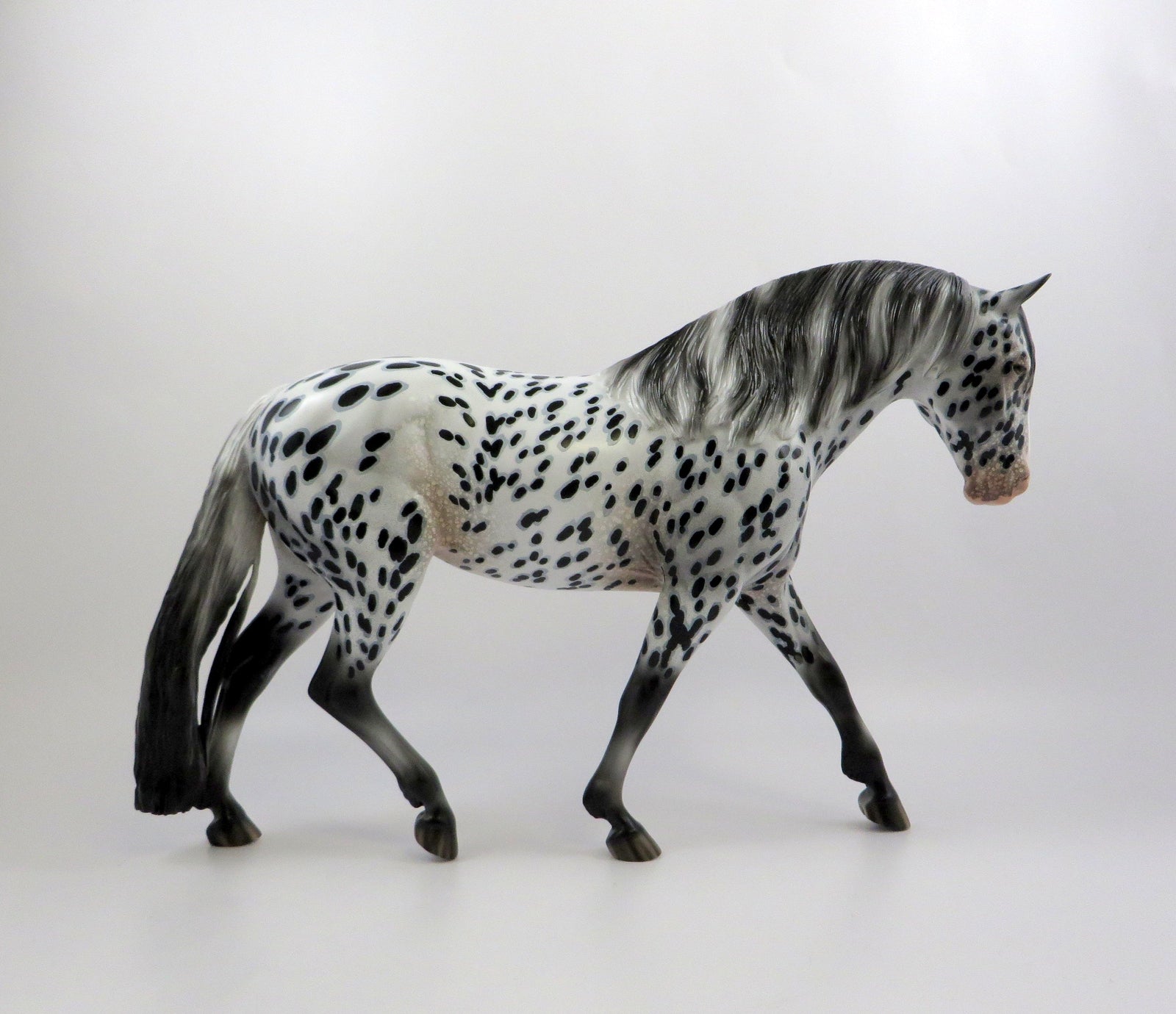 DIDACUS-OOAK LOUD APPALOOSA IRISH DRAFT MODEL HORSE EQ 19