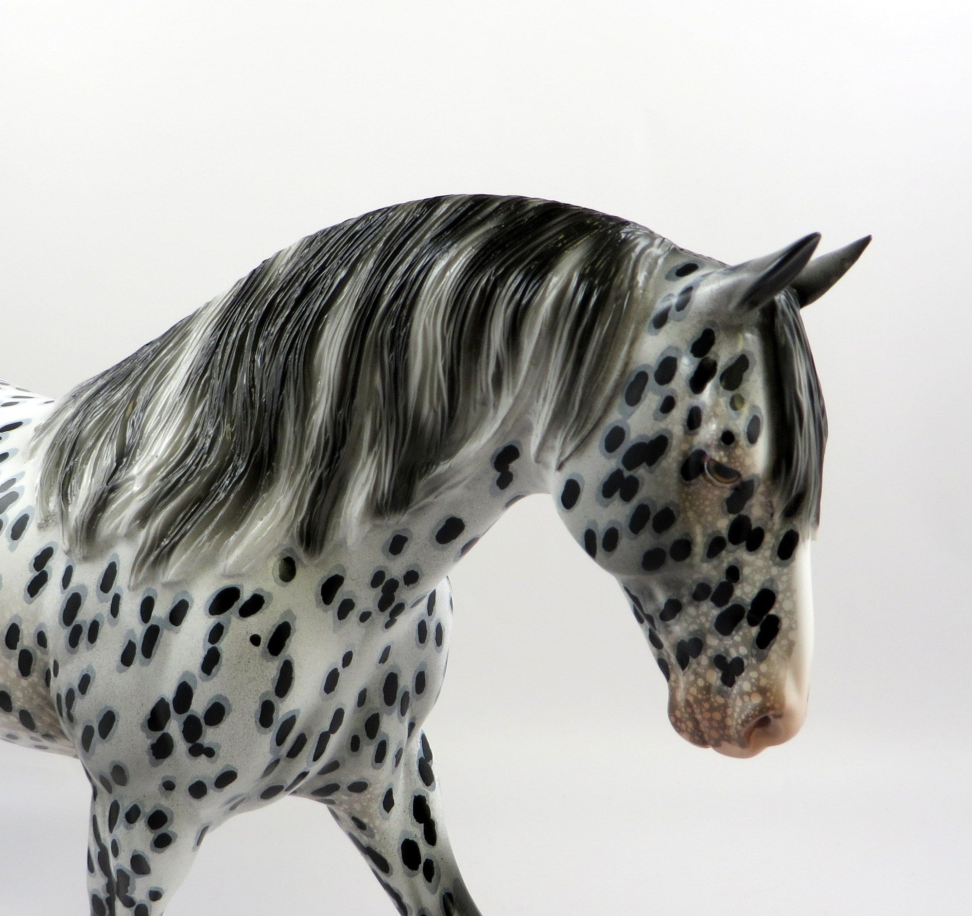 DIDACUS-OOAK LOUD APPALOOSA IRISH DRAFT MODEL HORSE EQ 19