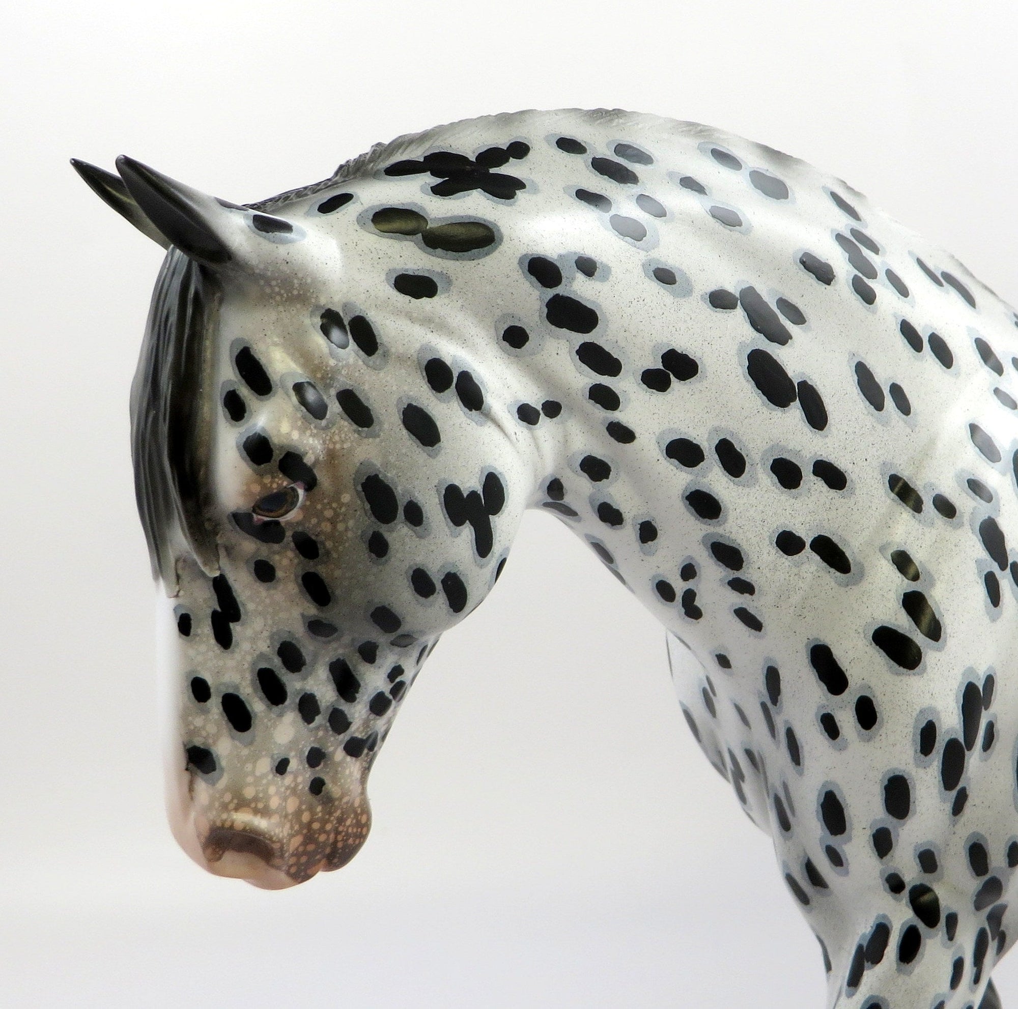 DIDACUS-OOAK LOUD APPALOOSA IRISH DRAFT MODEL HORSE EQ 19