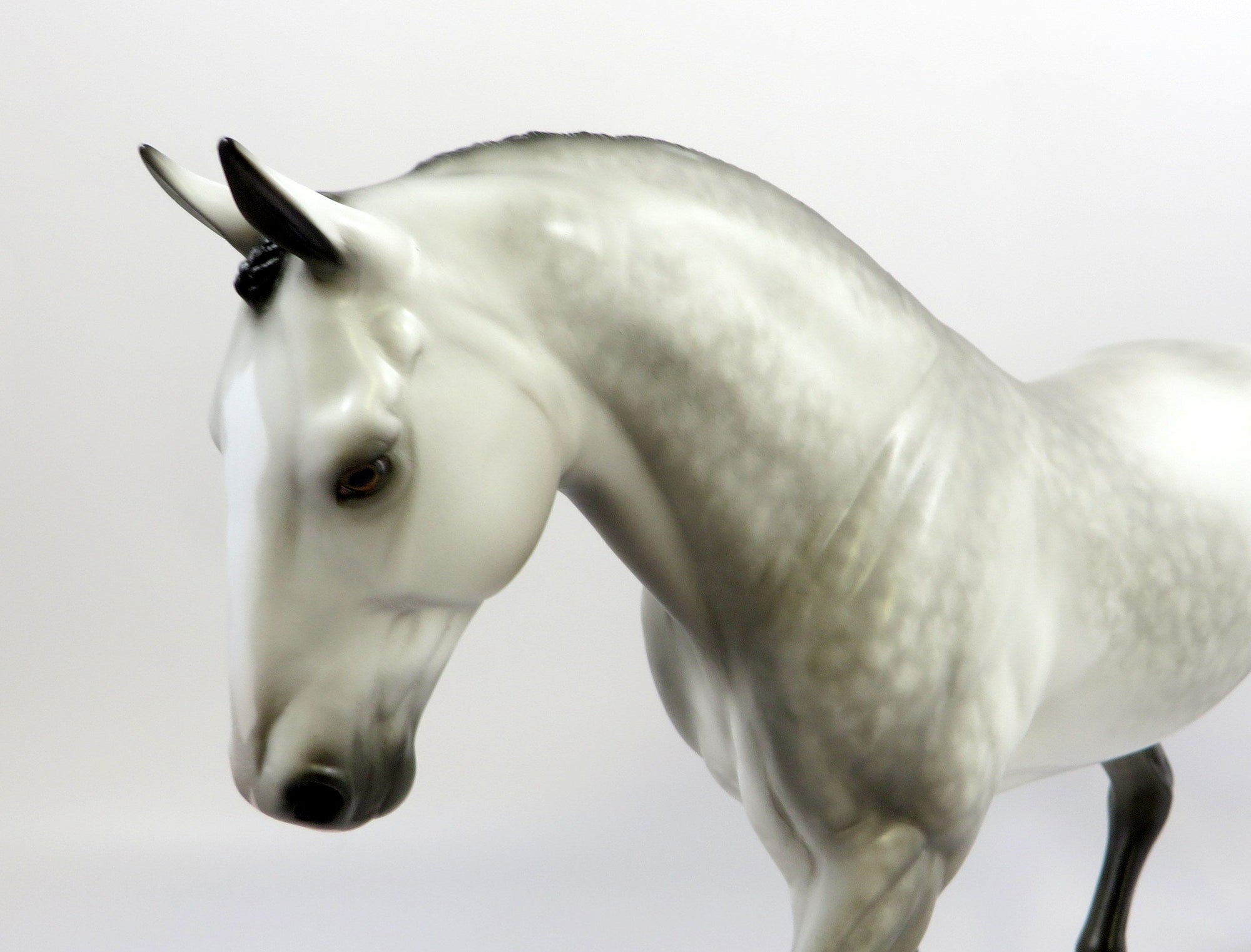DIOR-OOAK DAPPLE GREY IRISH DRAFT MODEL HORSE BY SHERYL LEISURE EQ 19