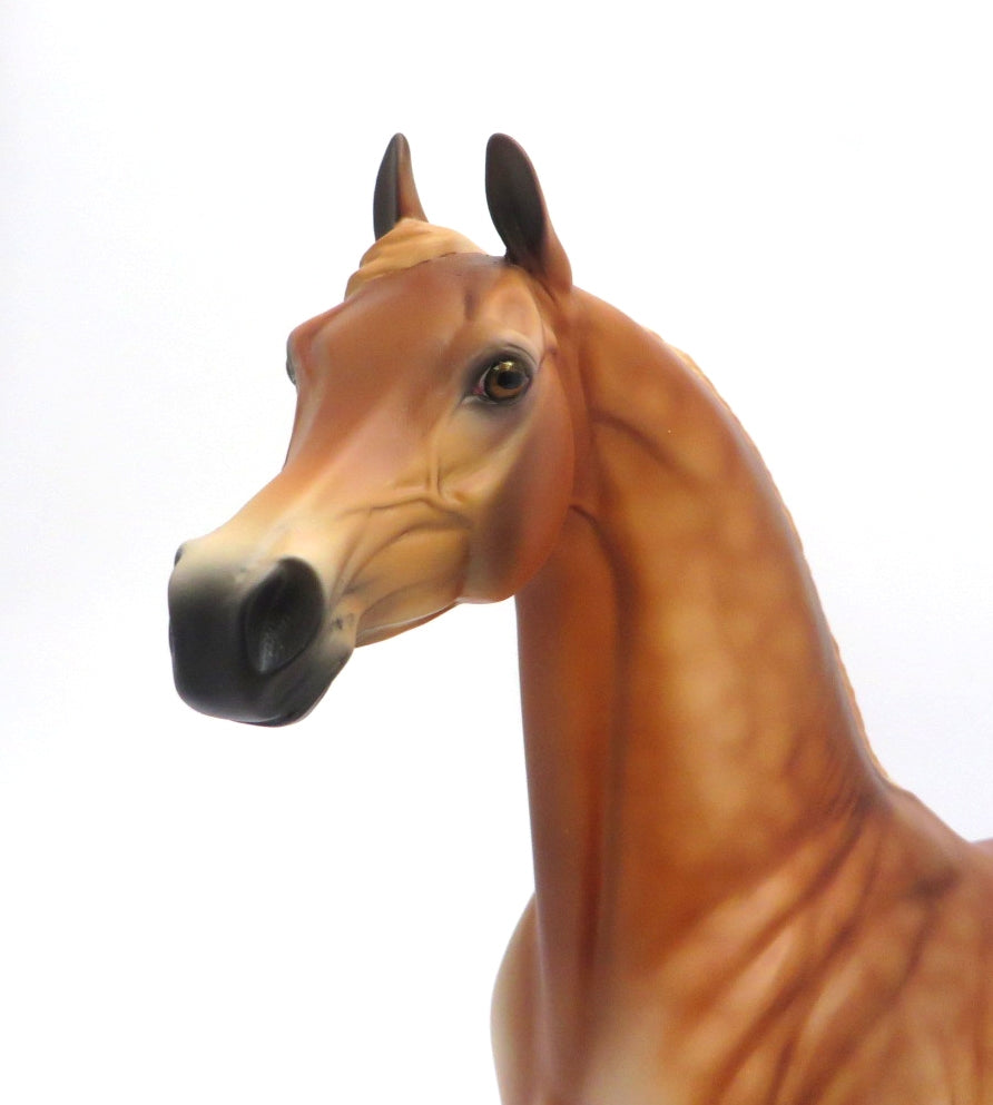 DORITO-OOAK DAPPLE CHESTNUT ARABIAN MODEL HORSE BY AUDREY DIXON 2/27/20