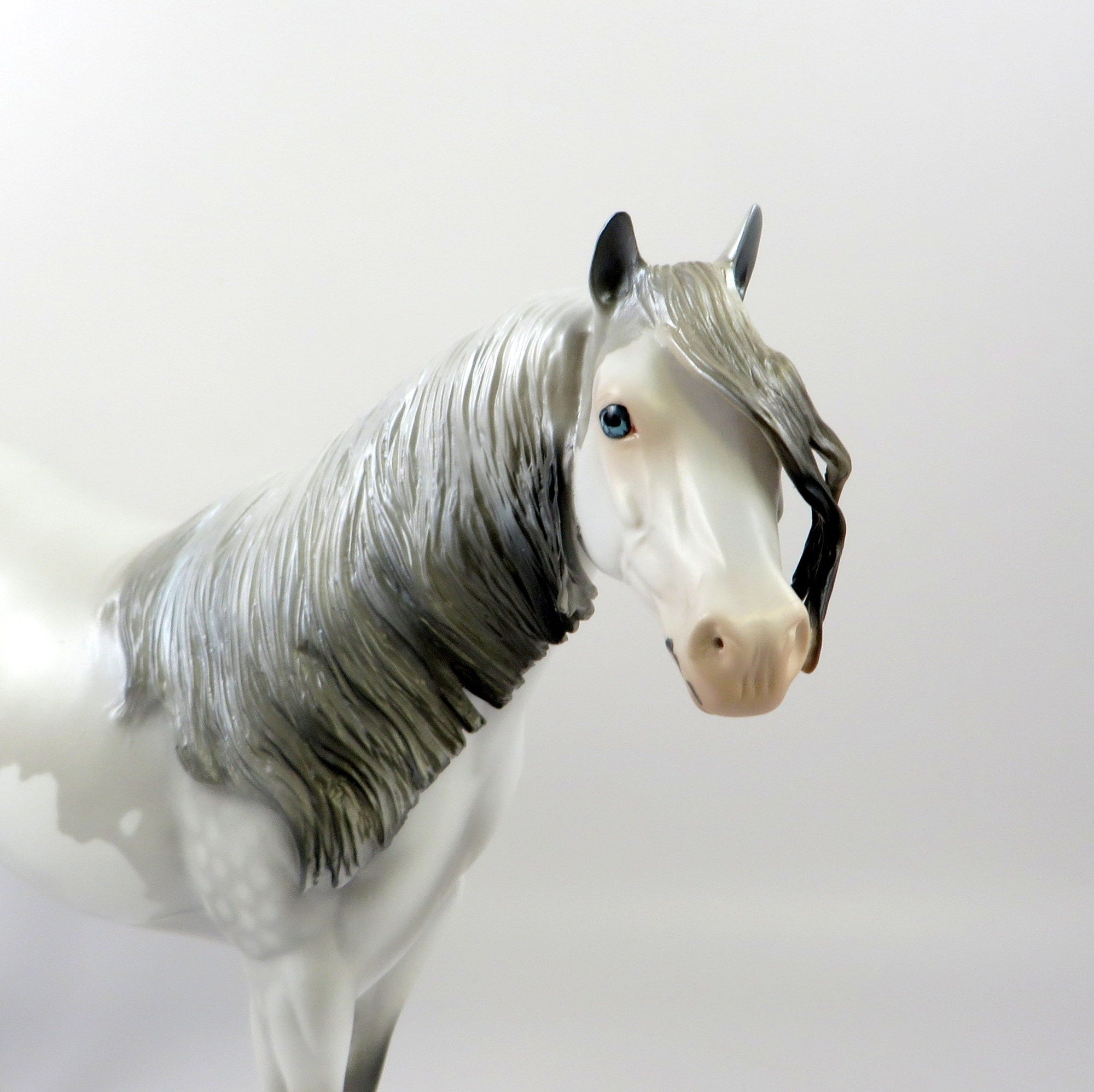 DUCHESS OF SUSSEX-LE-5 CUSTOM DAPPLE GREY ISH MODEL HORSE EQ 19