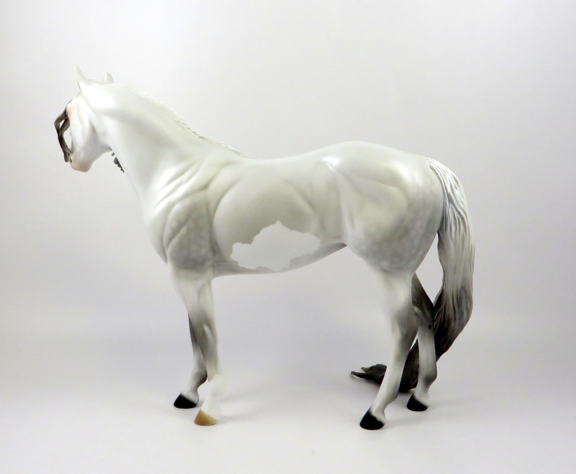 DUCHESS OF SUSSEX-LE-5 CUSTOM DAPPLE GREY ISH MODEL HORSE EQ 19