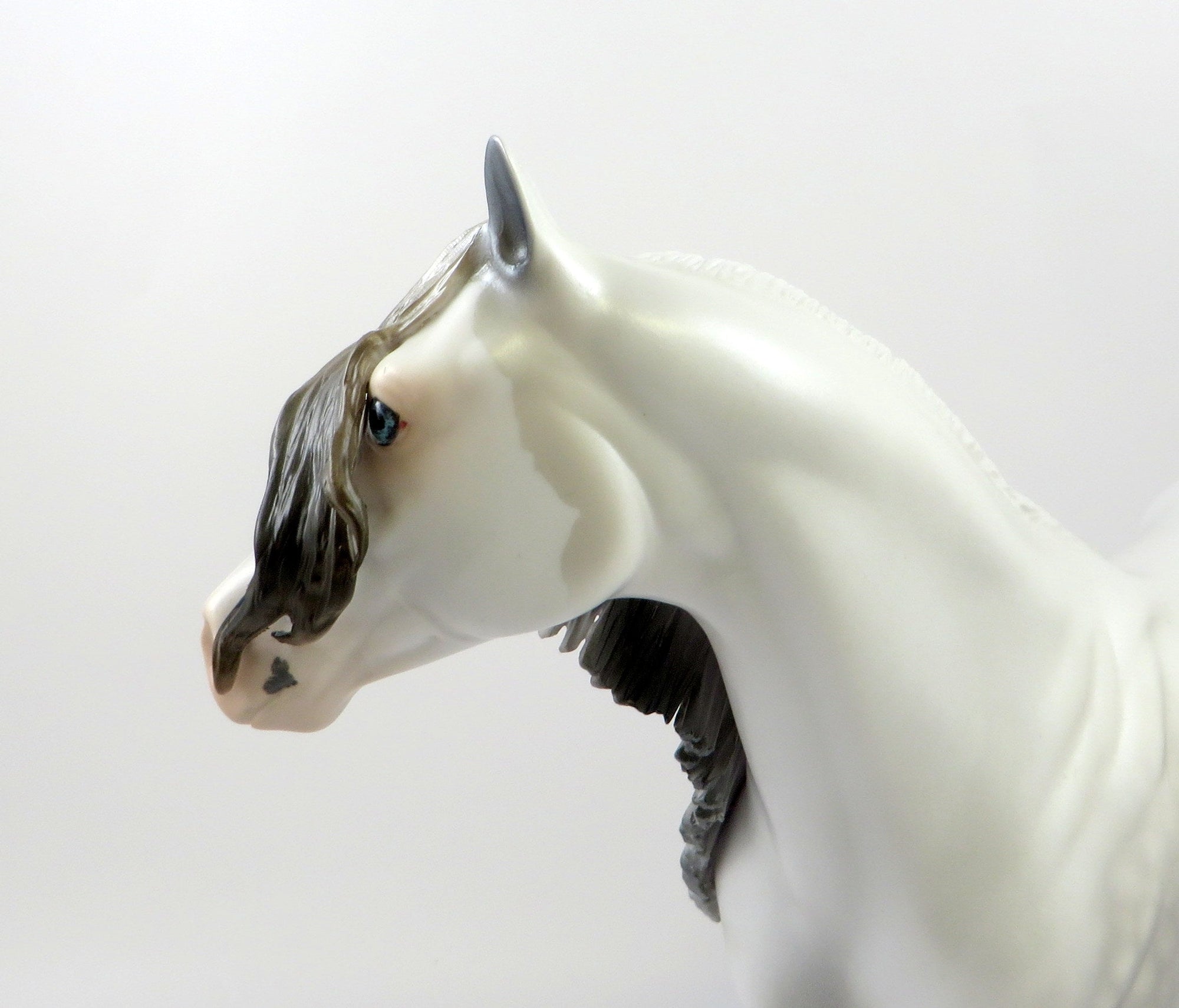 DUCHESS OF SUSSEX-LE-5 CUSTOM DAPPLE GREY ISH MODEL HORSE EQ 19