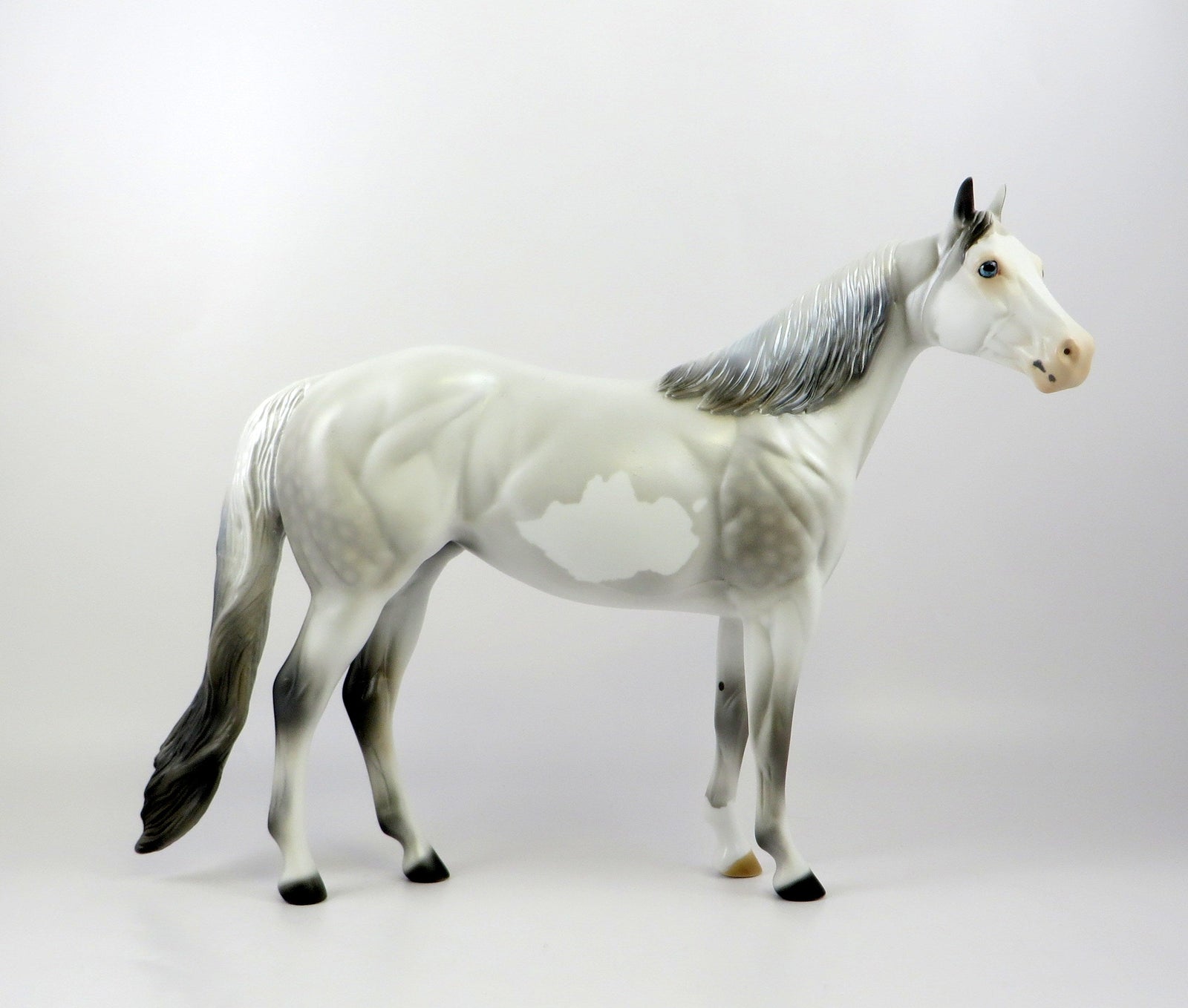 DUCHESS OF SUSSEX-LE-5 NON CUSTOM DAPPLE GREY PAINT ISH EQ 2019