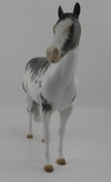 DOVE-OOAK Black Sabino ISH Model Horse EQ 2020