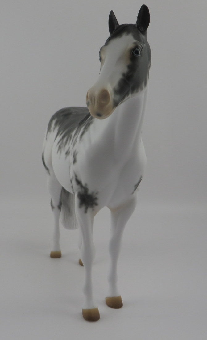 DOVE-OOAK Black Sabino ISH Model Horse EQ 2020
