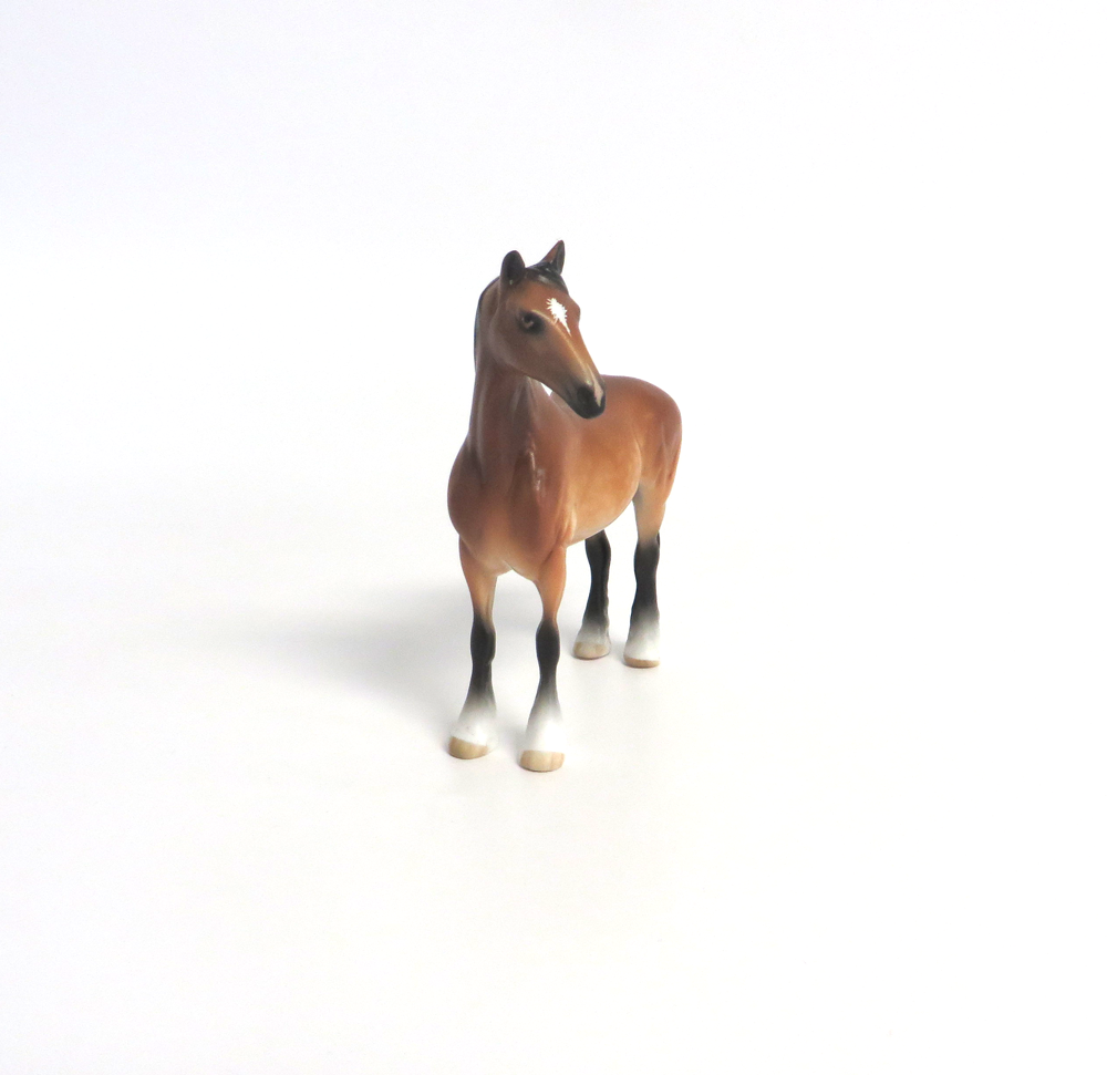 HANS  -- OOAK DAPPLED BAY DRAFT CHIP BY SHERYL LEISURE 3-15-19