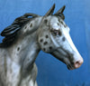 DREAM BIG-OOAK LOUD APPALOOSA FOUNDATION QUARTER HORSE MODEL HORSE 4/24/20