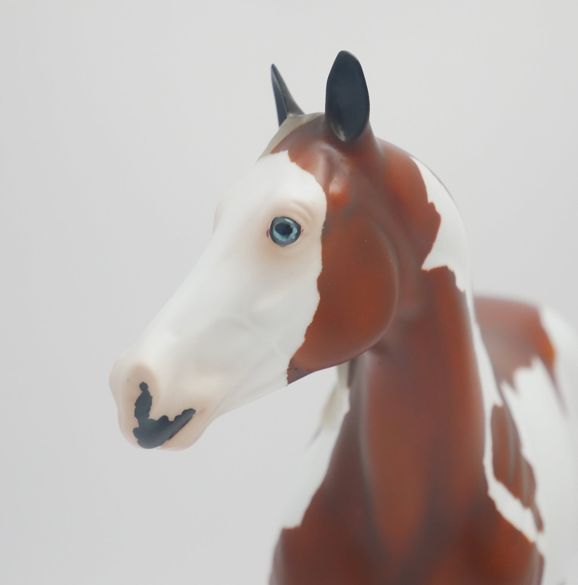 DREAM WEAVER - OOAK SILVER BAY PINTO ISH MODEL HORSE BY AUDREY DIXON 3/16/20