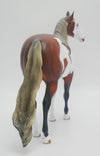 DREAM WEAVER - OOAK SILVER BAY PINTO ISH MODEL HORSE BY AUDREY DIXON 3/16/20