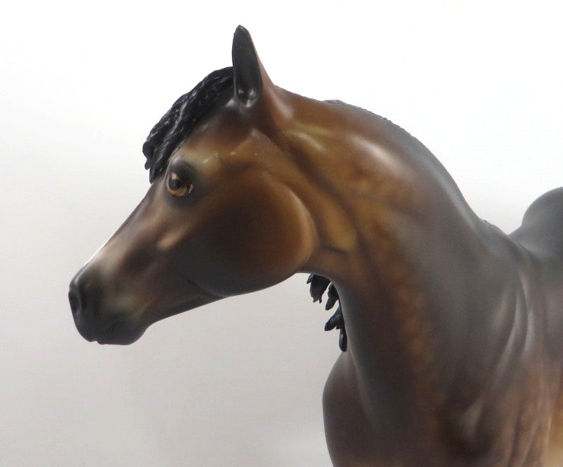 DRESSED TO THE TEETH-OOAK STAR DAPPLE BAY ISH MODEL HORSE BY SHERYL LEISURE 2/17/20