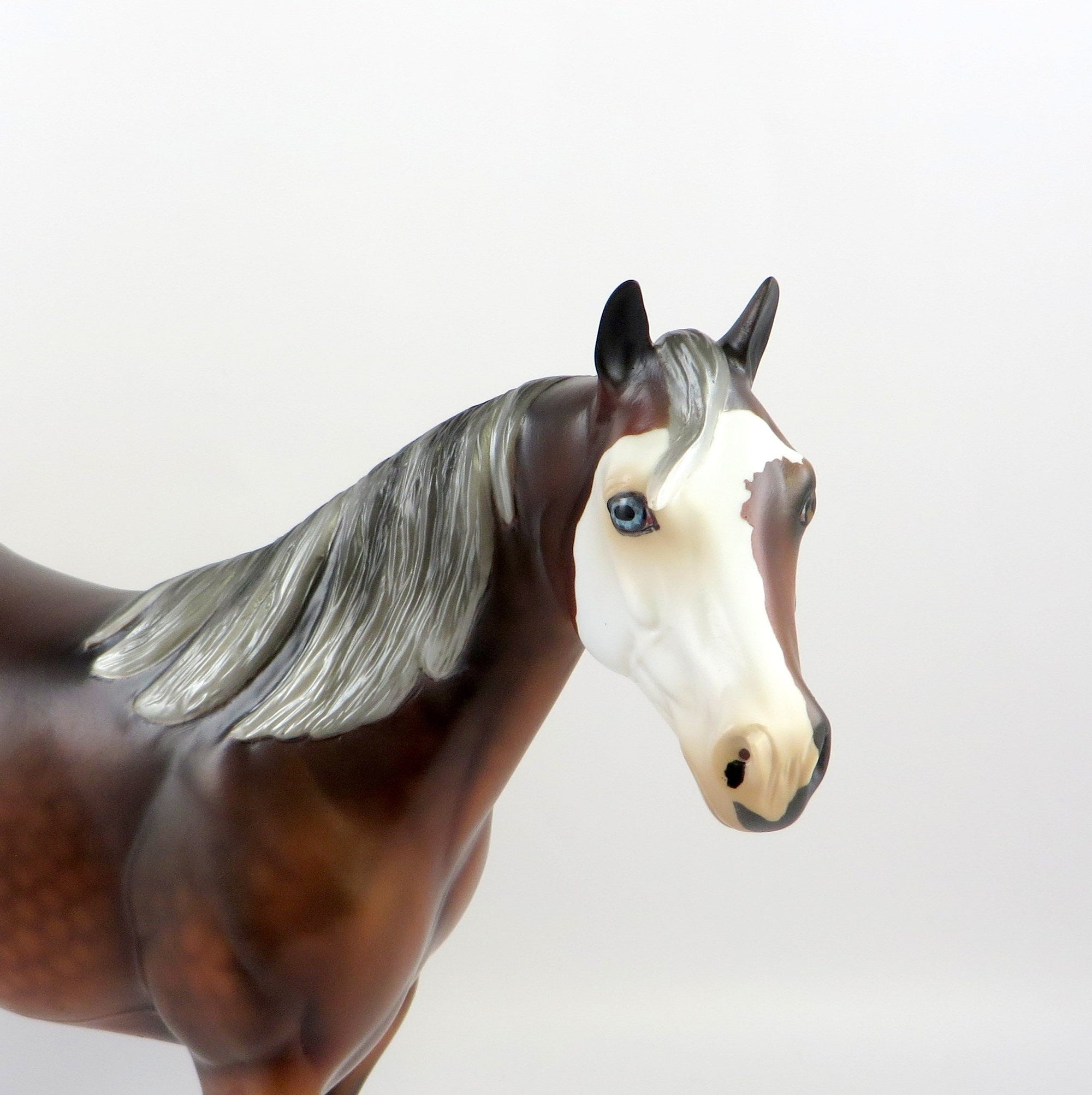 DUCHESS OF CAMBRIDGE-LE-5 CM SILVER BAY ISH EQ 2019