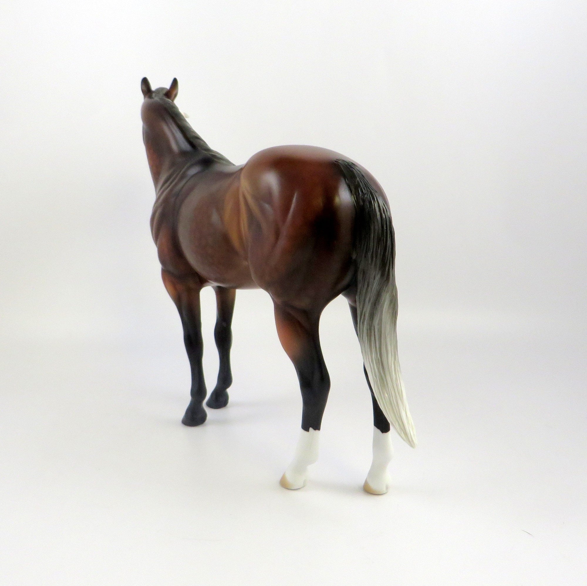 DUCHESS OF CAMBRIDGE-LE-5 CM SILVER BAY ISH EQ 2019