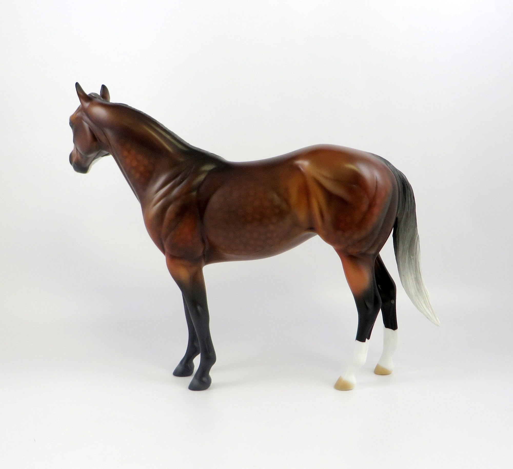 DUCHESS OF CAMBRIDGE-LE-5 CM SILVER BAY ISH EQ 2019