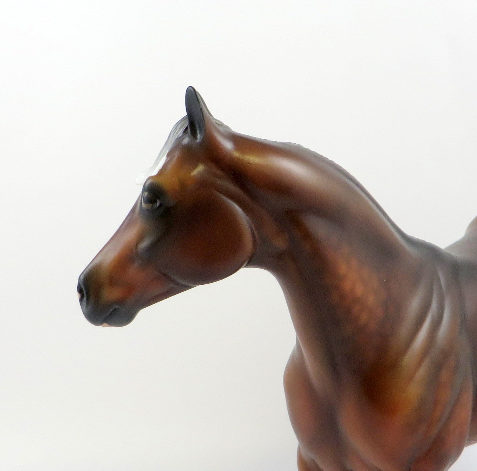 DUCHESS OF CAMBRIDGE-LE-5 CM SILVER BAY ISH EQ 2019