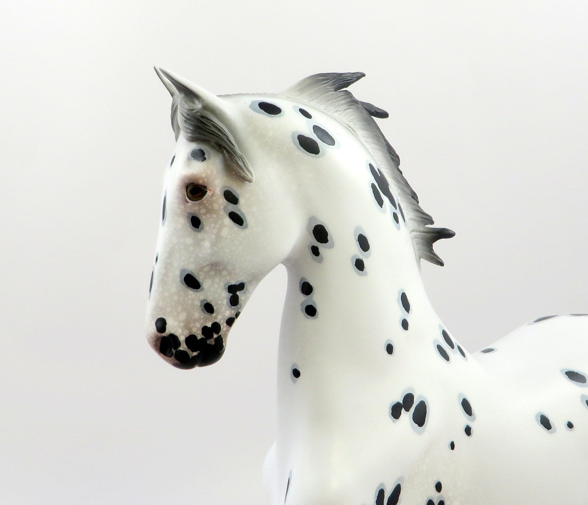 DUCHESS OF YORK-LE-5 LOUD APPALOOSA SADDLER MODEL HORSE EQ 19 ROYAL AFFAIR CM