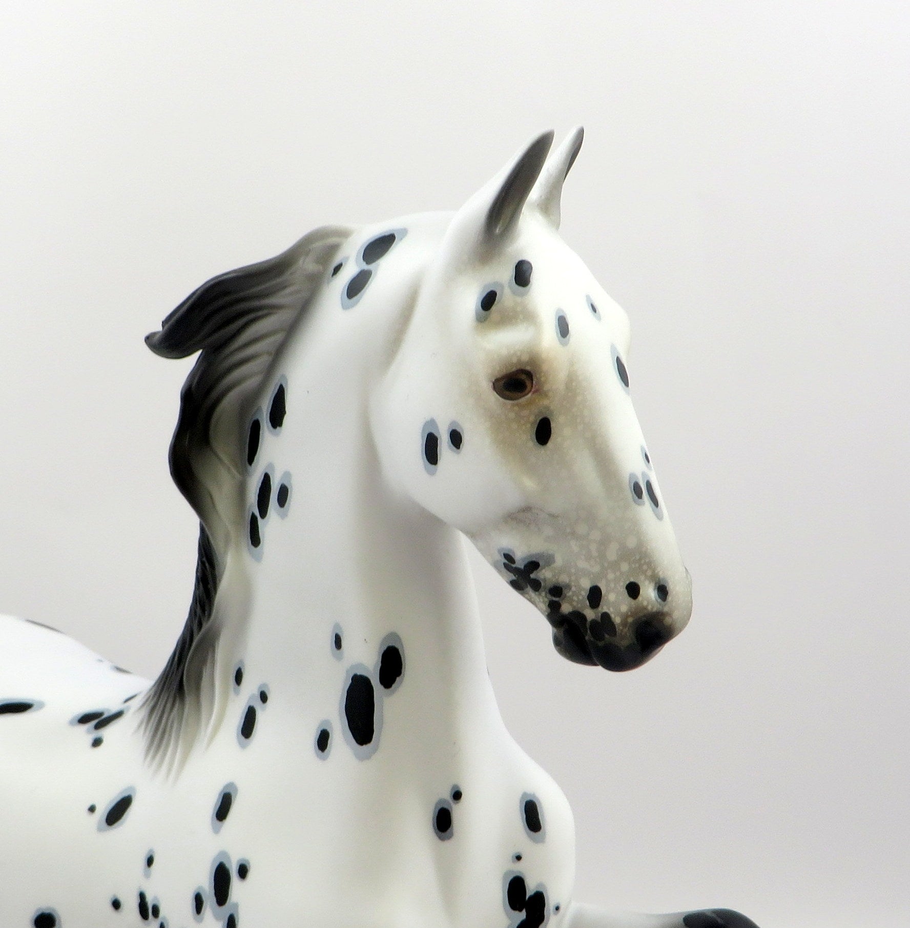 DUCHESS OF YORK-LE-5 LOUD APPALOOSA SADDLER MODEL HORSE EQ 19 ROYAL AFFAIR NC