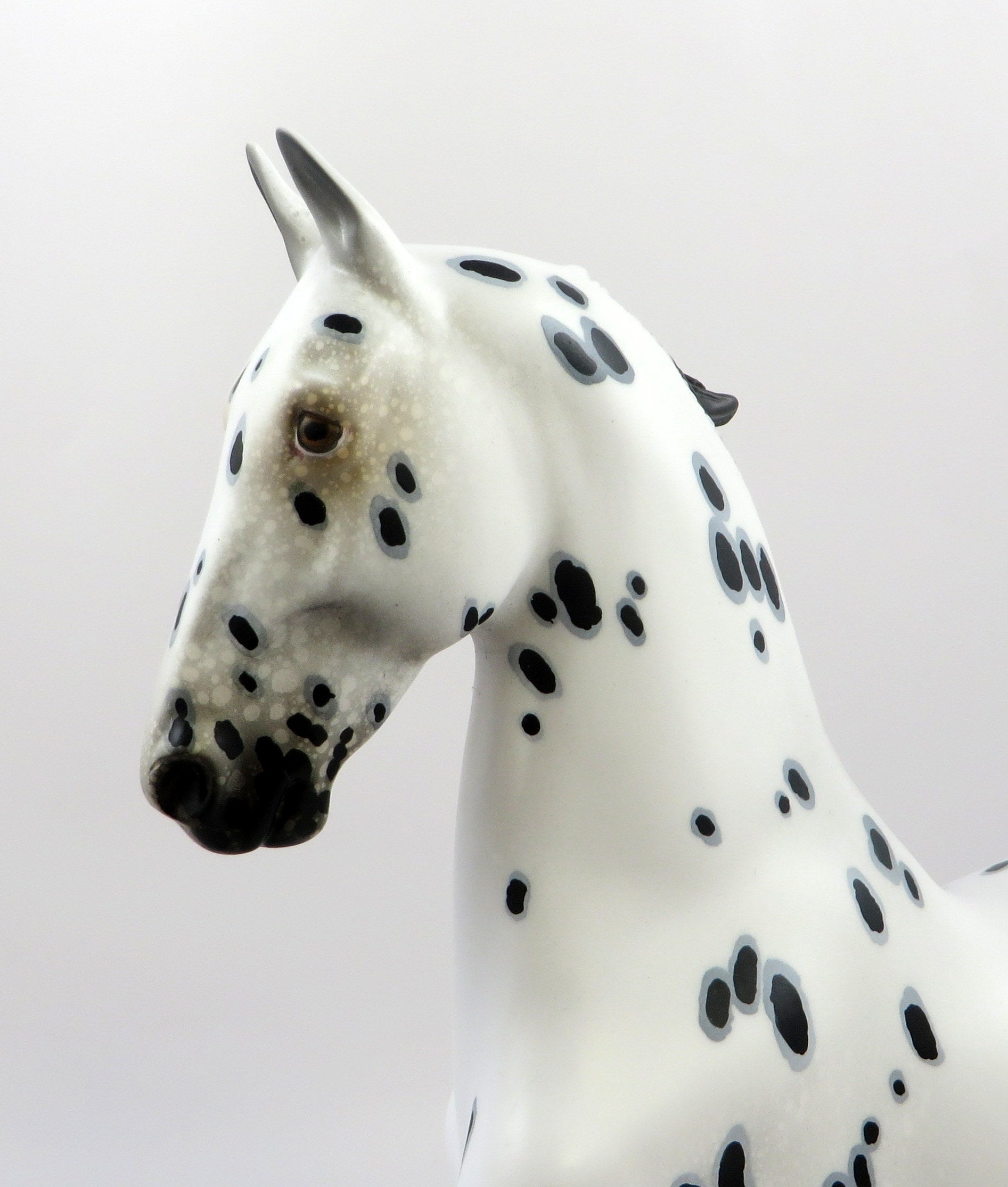 DUCHESS OF YORK-LE-5 LOUD APPALOOSA SADDLER MODEL HORSE EQ 19 ROYAL AFFAIR NC