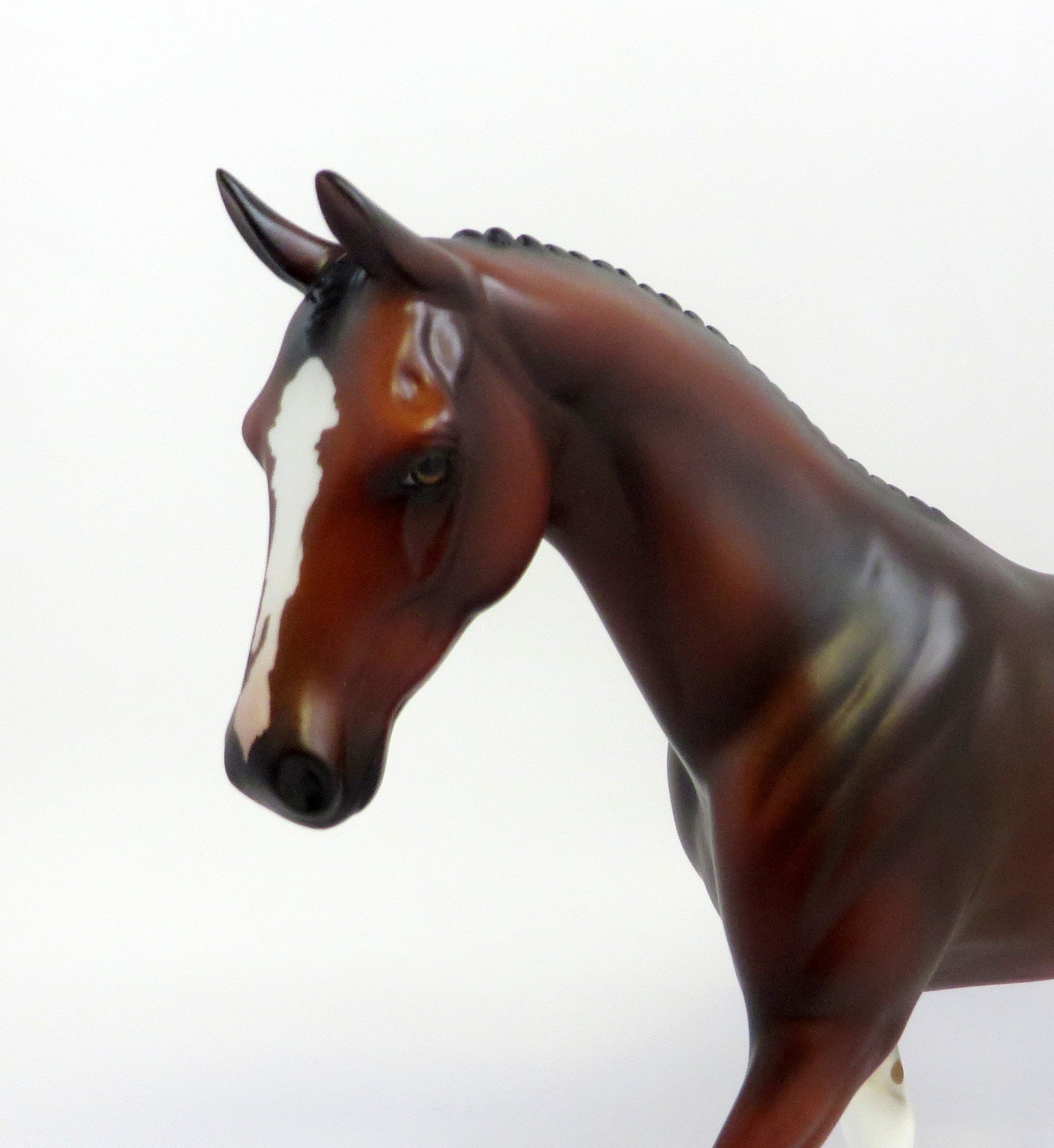 DUCHY-OOAK BAY PONY MODEL HORSE EQ 2019
