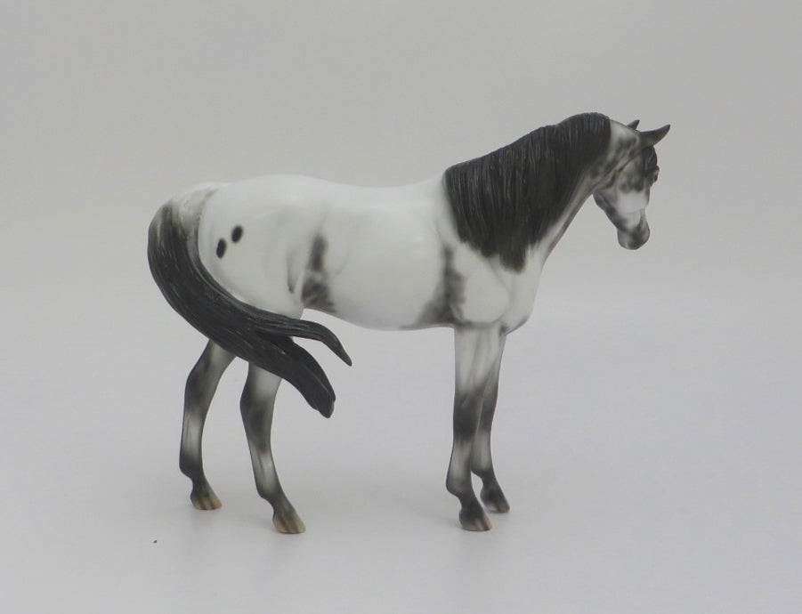 DUFFY - OOAK SABINO ARABIAN MARE PEBBLE BY DAWN QUICK 3/5/20