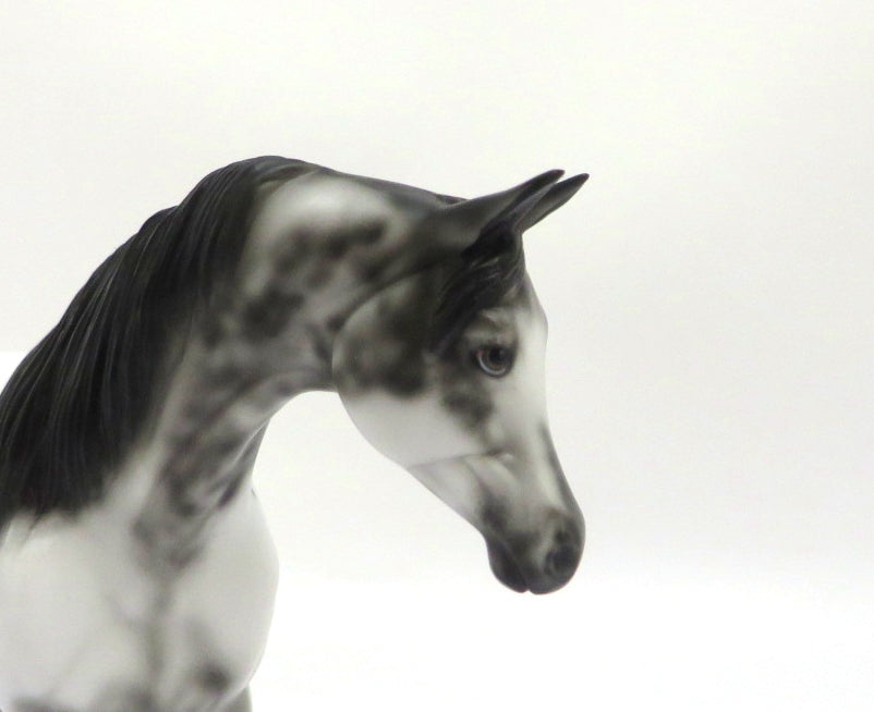 DUFFY - OOAK SABINO ARABIAN MARE PEBBLE BY DAWN QUICK 3/5/20