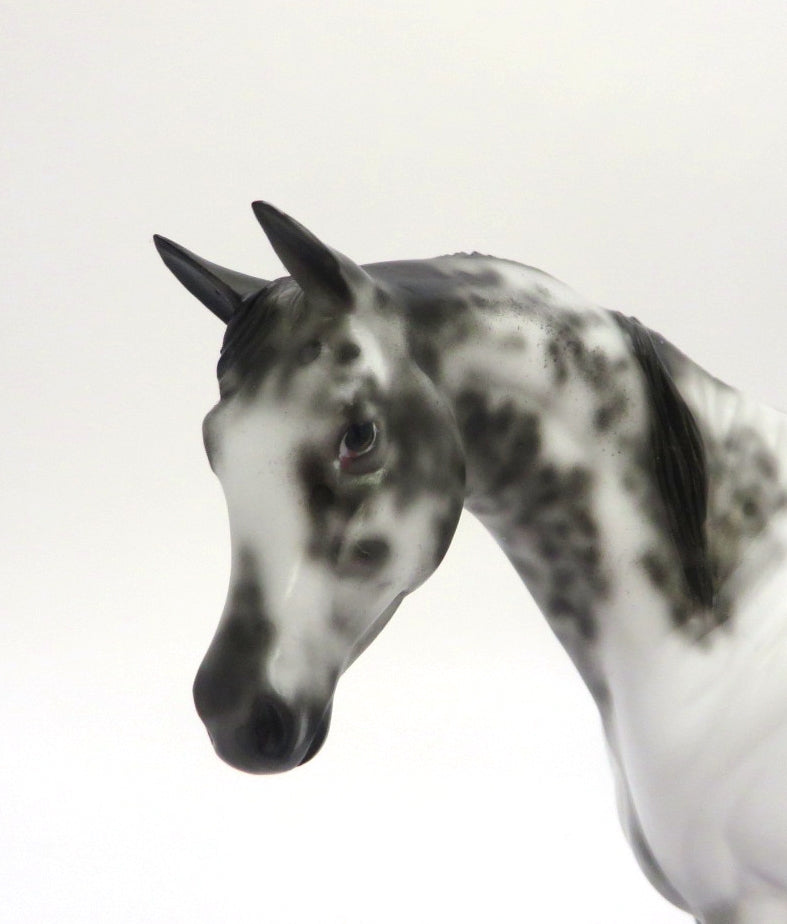 DUFFY - OOAK SABINO ARABIAN MARE PEBBLE BY DAWN QUICK 3/5/20