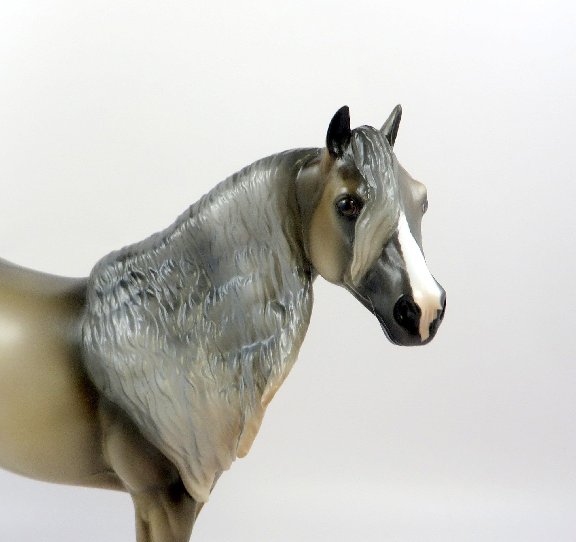 DUKE-OOAK DUNALINO ISH MODEL HORSE EQ 19