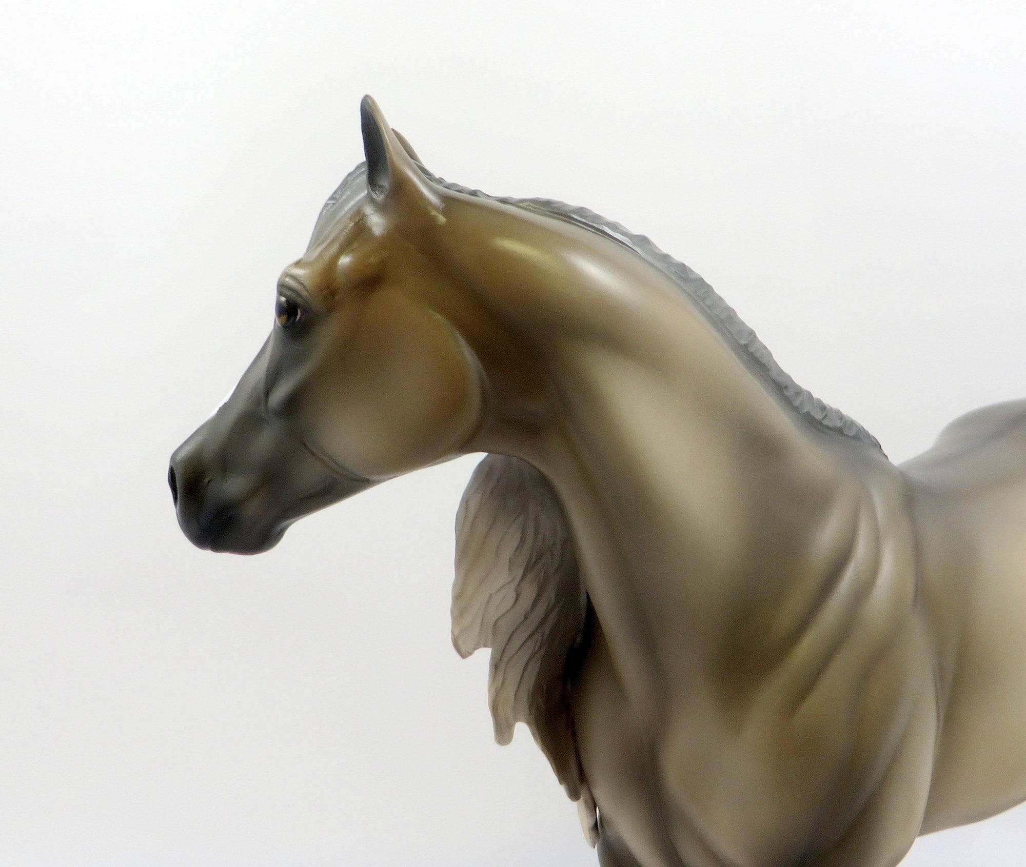 DUKE-OOAK DUNALINO ISH MODEL HORSE EQ 19
