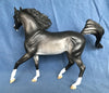 Elysian-LE-3 BLACK RABICANO ARABIAN MARE BY SHERYL LEISURE 4/16/20