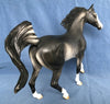 Elysian-LE-3 BLACK RABICANO ARABIAN MARE BY SHERYL LEISURE 4/16/20