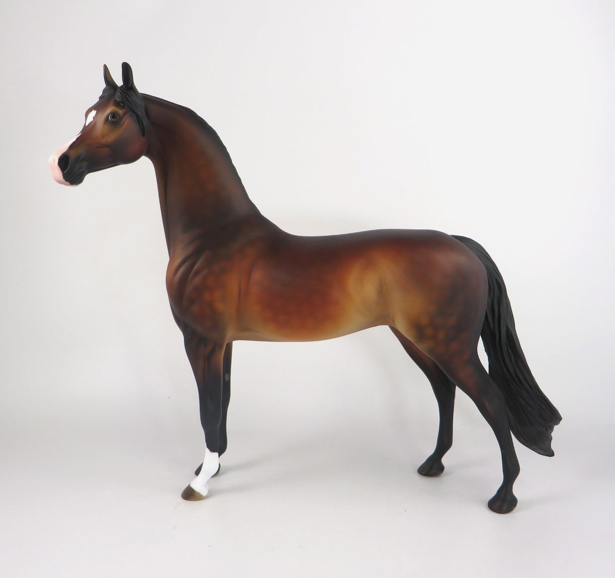 EBENEEZER-OOAK DAPPLE BAY ARABIAN WHS 2019