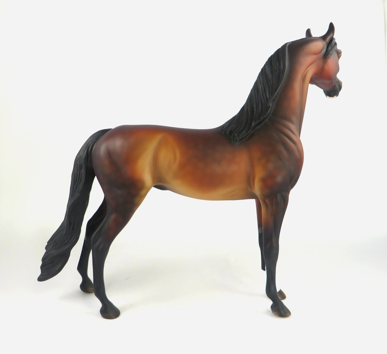 EBENEEZER-OOAK DAPPLE BAY ARABIAN WHS 2019