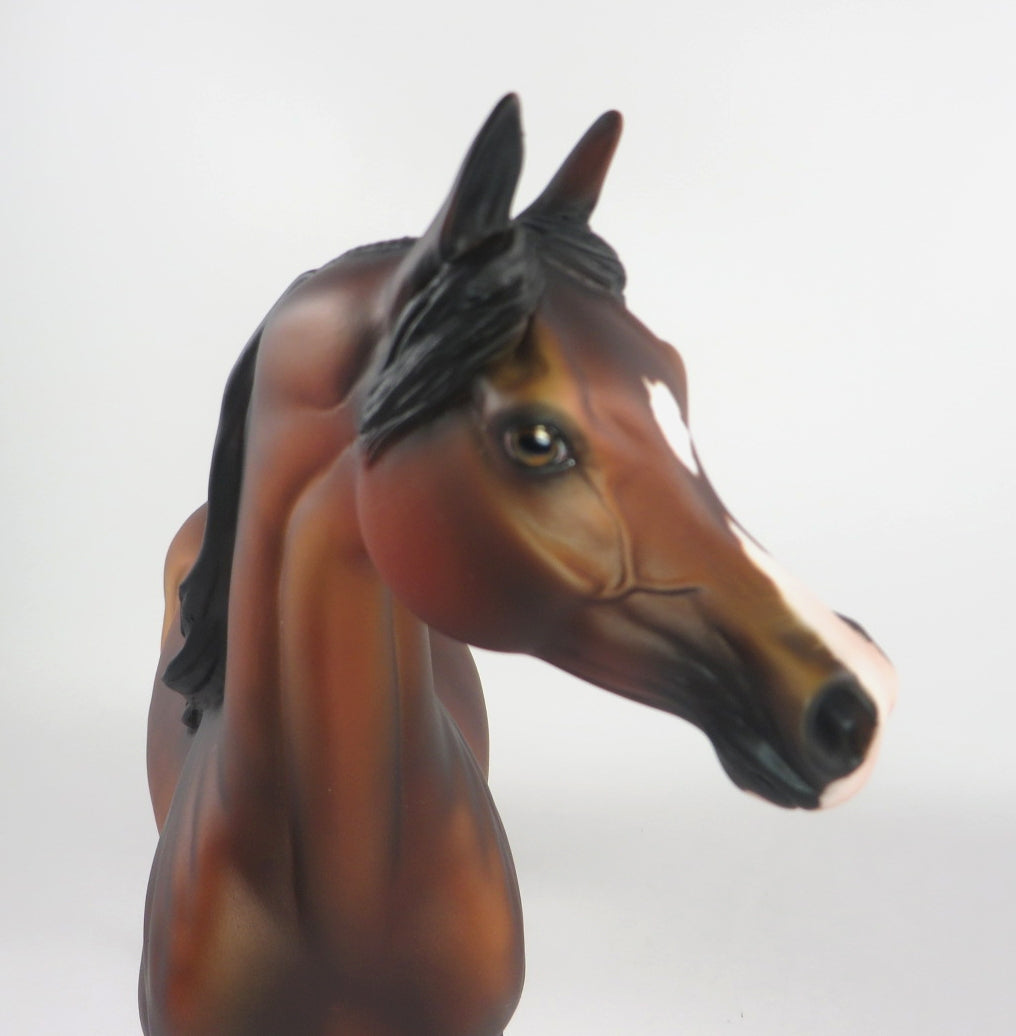 EBENEEZER-OOAK DAPPLE BAY ARABIAN WHS 2019