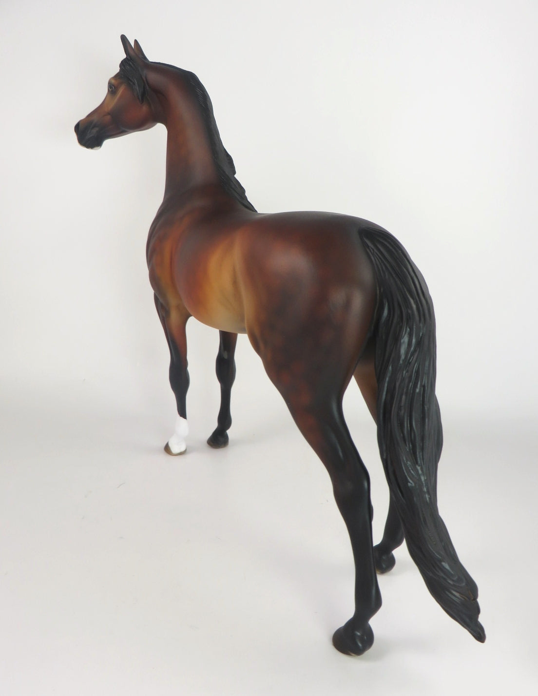 EBENEEZER-OOAK DAPPLE BAY ARABIAN WHS 2019