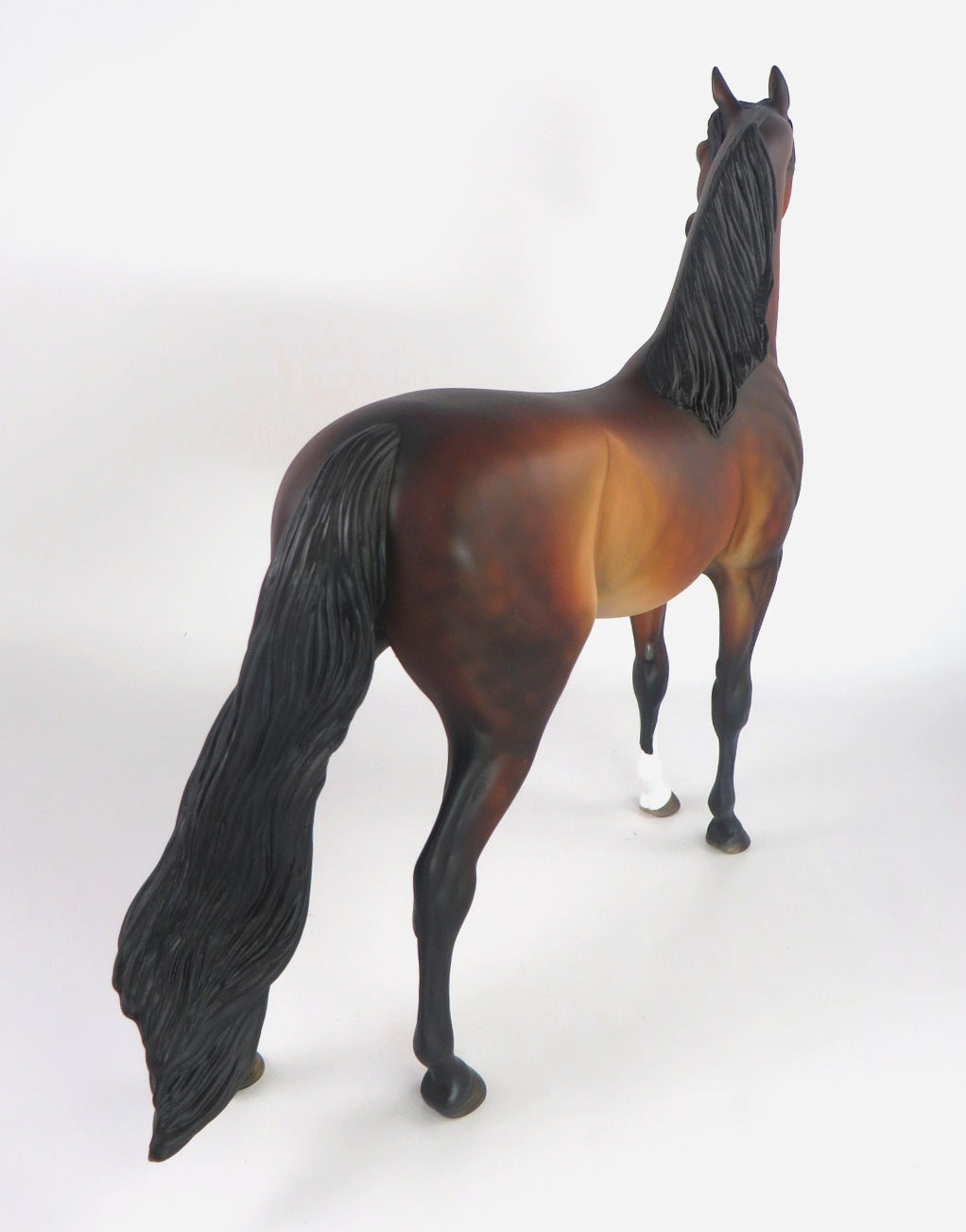 EBENEEZER-OOAK DAPPLE BAY ARABIAN WHS 2019