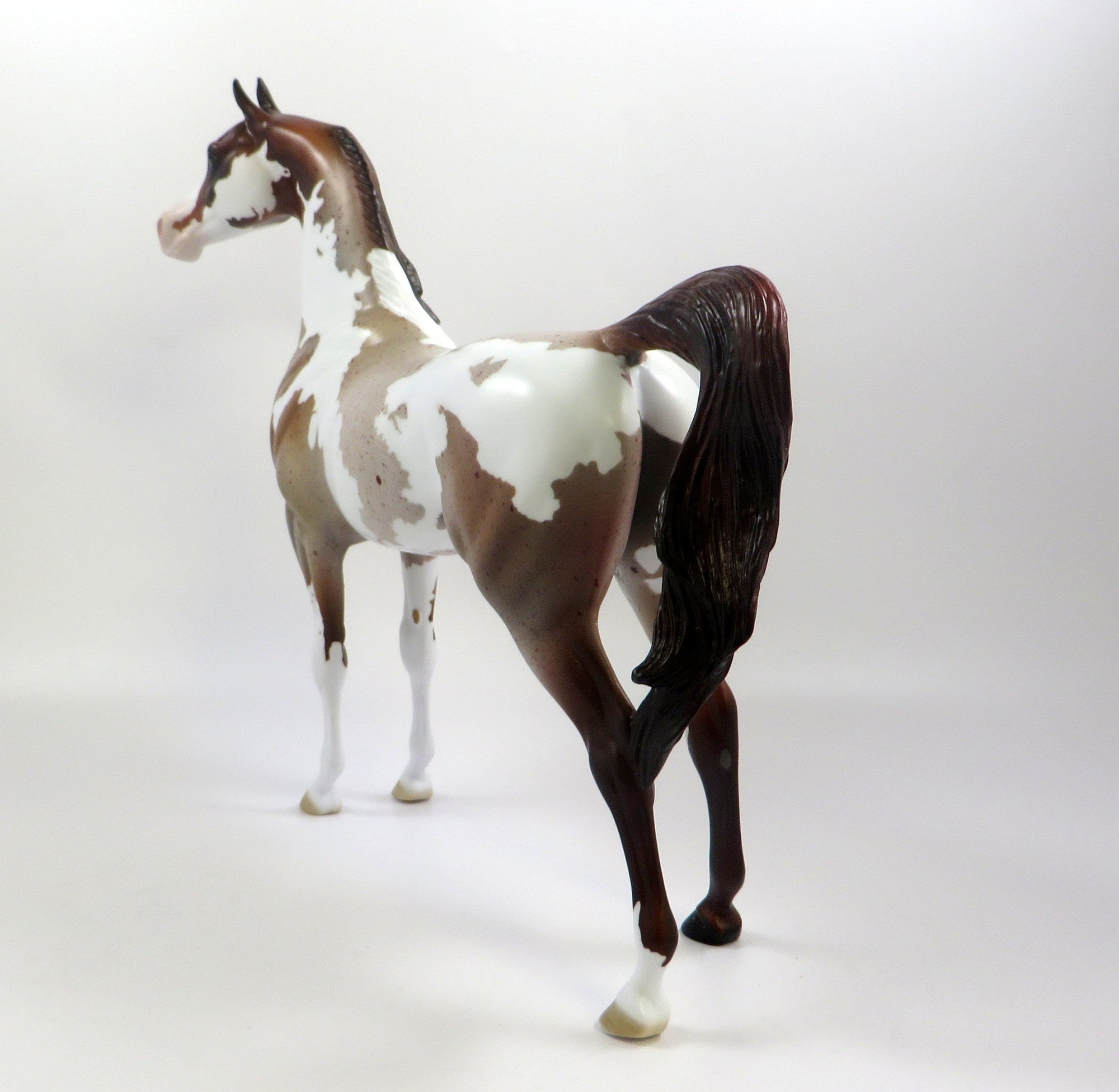 EDINBURGH -OOAK CHESTNUT ROAN PINTO ARABIAN MODEL EQ 2019